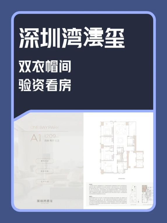 深圳湾澐玺验资3000万看房体验:样板间设计惊艳但交房需等到2028年