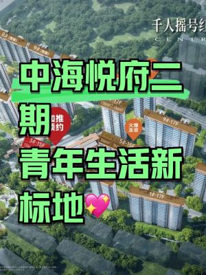 中海悦府二期-合肥中海悦府二期楼盘详情-合肥房天下