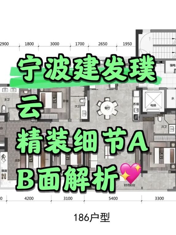 宁波建发璞云186㎡四房精装房交付问题分析
