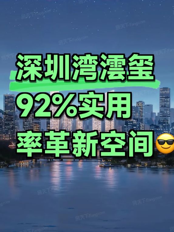 深圳湾澐玺豪宅深度测评:92%超高实用率+华润中海双巨头开发