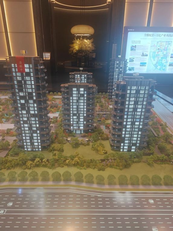 实探邦泰·观宸高新🏡|软件新城改善盘曝光!附最新工地实拍📸