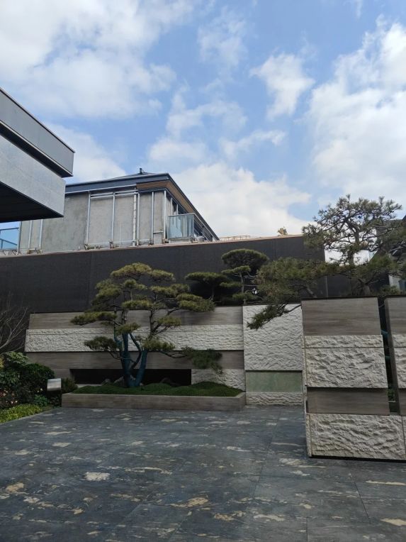 🌟国贸海上原墅实地探盘🏡低密洋房+装修交付,松江改善新选择!