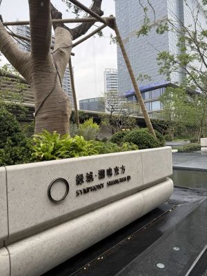 绿城潮鸣东方-上海绿城潮鸣东方楼盘详情-上海房天下