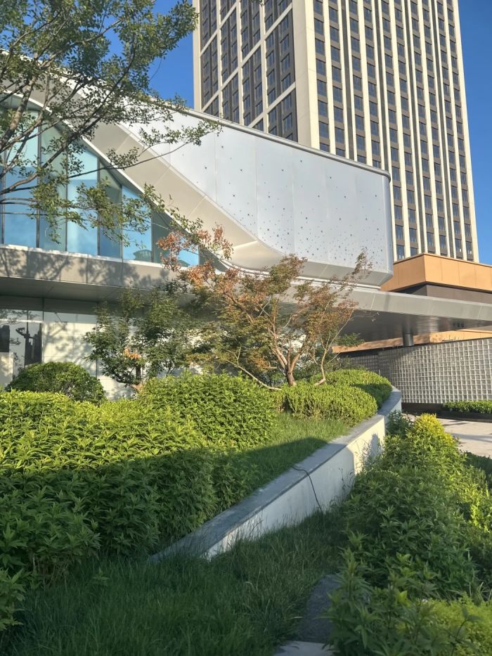 中建·星光城市笔记