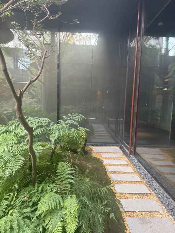 实探金茂璞逸丰宜🏡三环洋房!现场直击新图曝光📸