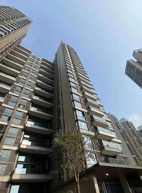 广钢新城保利堂悦复式住宅最新效果图曝光