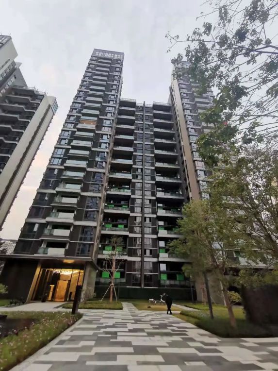 广钢新城保利堂悦复式住宅最新效果图曝光